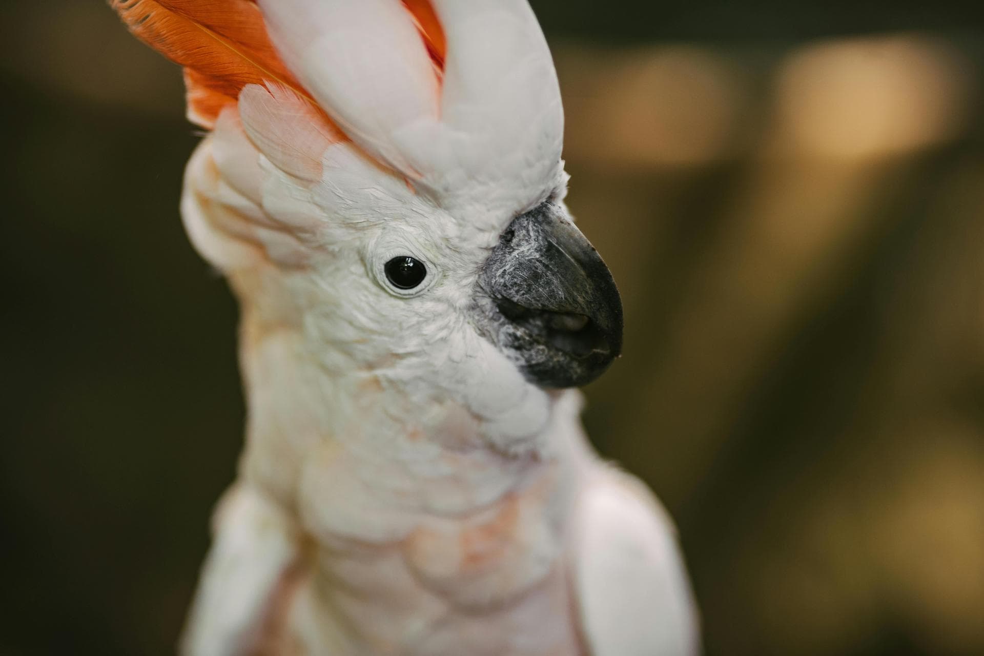 Farm & Large-Animal Vets near Horsham
